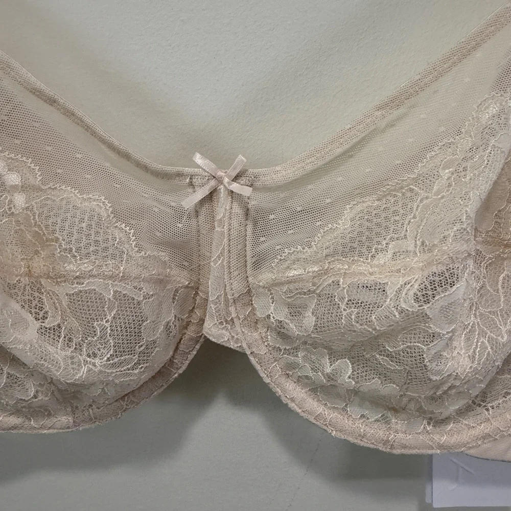 NWT HSIA Enchante Sheer Lace Mesh Floral Unlined Underwire Bra 36D Full Coverage